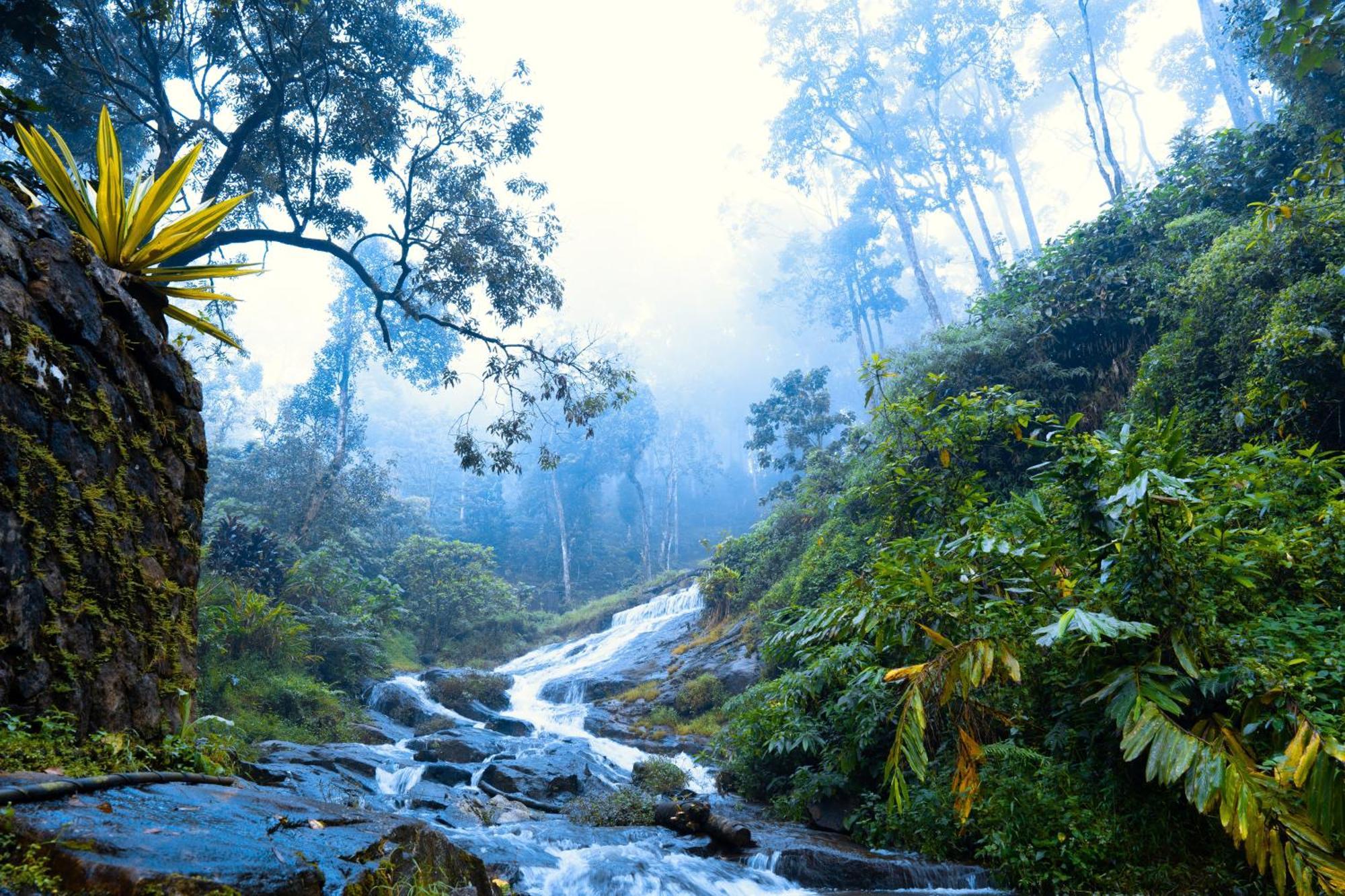 Falling Waters Munnar Exterior photo
