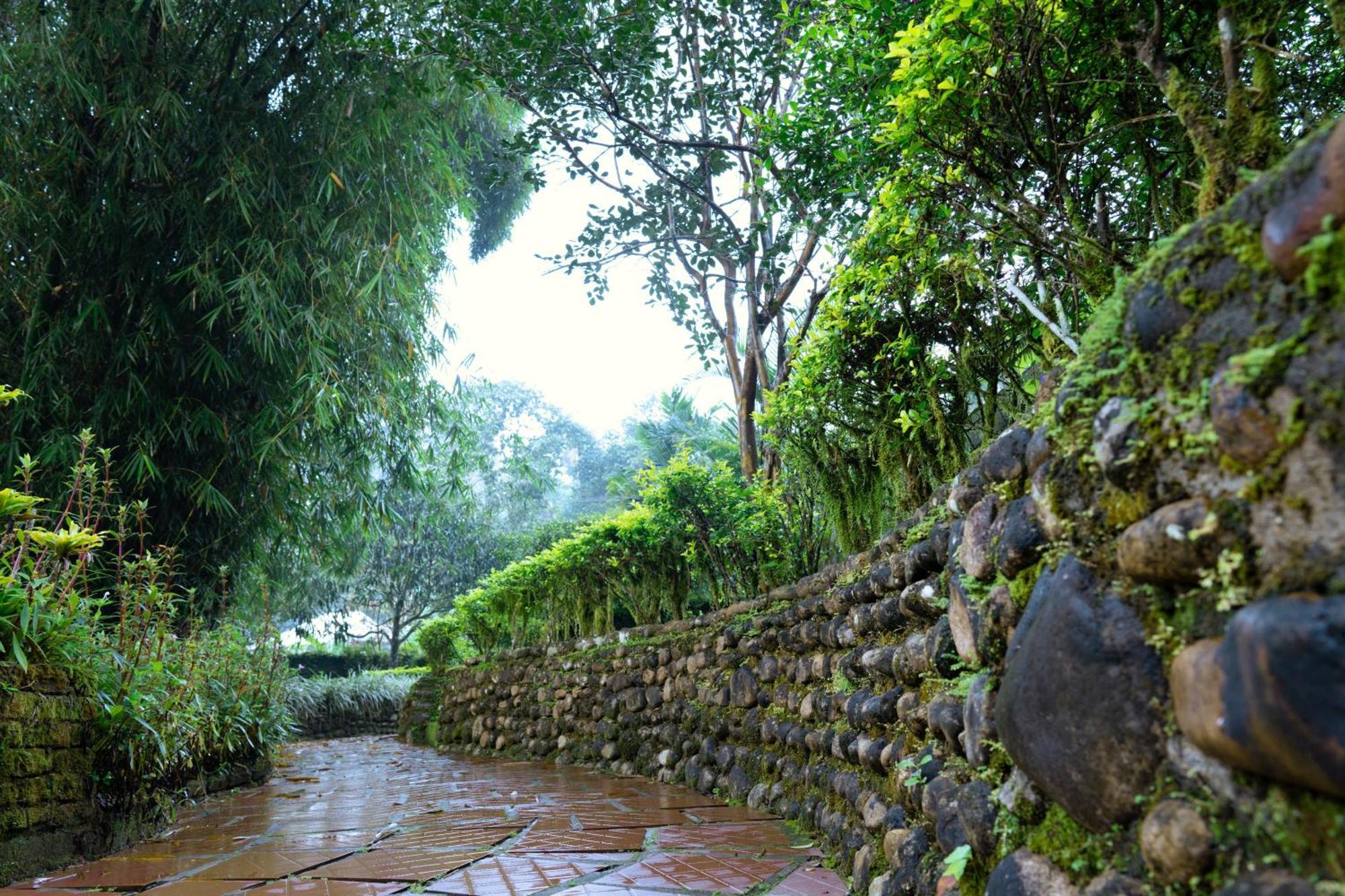 Falling Waters Munnar Exterior photo
